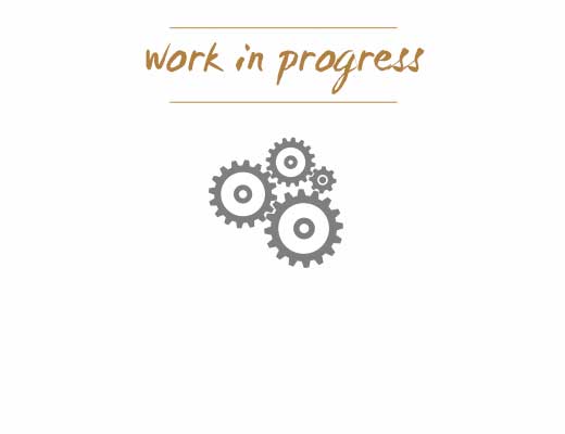 Work-in-progress_mini